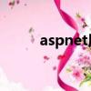 aspnet用的什么語言（asp net）