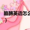 胳膊英語怎么說讀音（胳膊英語怎么讀音發音）