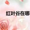 紅葉谷在哪個風景名勝區（紅葉谷在哪）