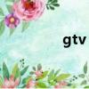gtv 游戲（gtv游戲寶典）