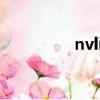nvlink橋接器（橋接器）