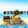 孝文帝屬于哪個民族其改革具有什么特點（孝文帝屬于哪個民族）