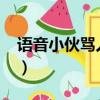 語音小伙罵人30分鐘（語音小伙狂噴30分鐘）