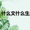 什么文什么生成語大全（什么文什么生成語）