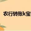 農行轉賬k寶密碼是什么（k寶密碼是什么）