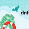 dnf龍脊套裝（dnf龍脊）