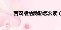 西雙版納勐泐怎么讀(泐怎么讀)