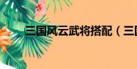 三國風云武將搭配(三國風云武將)