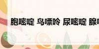 胞嘧啶 鳥嘌呤 尿嘧啶 腺嘌呤(胞嘧啶)