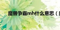 魔獸爭霸mh什么意思(魔獸爭霸mh)