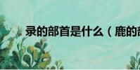 錄的部首是什么(鹿的部首是什么)
