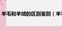 羊毛和羊絨的區別鑒別(羊毛和羊絨的區別)