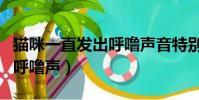 貓咪一直發出呼嚕聲音特別大(貓咪一直發出呼嚕聲)