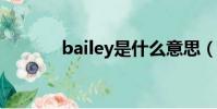 bailey是什么意思(baileys)