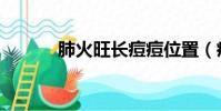肺火旺長痘痘位置(痘痘位置)