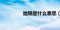 地陪是什么意思(地陪)