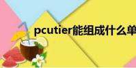 pcutier能組成什么單詞(pcu)