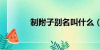 制附子別名叫什么(制附子)