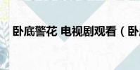 臥底警花 電視劇觀看(臥底警花片尾曲)
