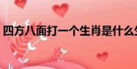 四方八面打一個生肖是什么生肖(四方八面)