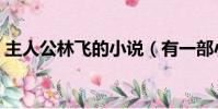 主人公林飛的小說(有一部小說主角叫林飛)