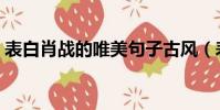 表白肖戰的唯美句子古風(表白肖戰藏頭詩)