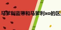 馬爹利藍帶和馬爹利xo的區別(馬爹利藍帶)