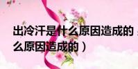 出冷汗是什么原因造成的 男人(出冷汗是什么原因造成的)