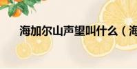海加爾山聲望叫什么(海加爾山聲望)