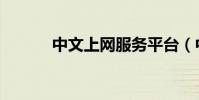 中文上網服務平臺(中文上網)