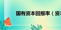 國有資本回報率(資本回報率)