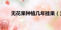無花果種植幾年掛果(無花果種植)
