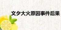 文夕大火原因事件后果(文夕大火)