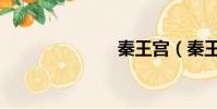 秦王宮(秦王)