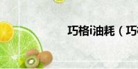 巧格i油耗(巧格)