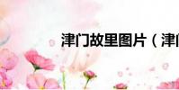 津門故里圖片(津門故里)