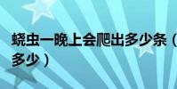 蟯蟲一晚上會爬出多少條(蟯蟲一晚上會爬出多少)
