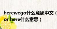 herewego什么意思中文(we got a big error here什么意思)