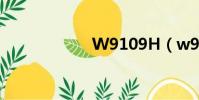 W9109H(w910)