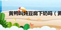 黃鴨叫燉豆腐下奶嗎(黃鴨叫燉豆腐)