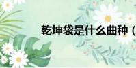 乾坤袋是什么曲種(乾坤袋)