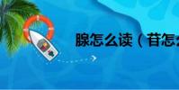 腺怎么讀(苷怎么讀)