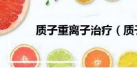 質子重離子治療(質子重離子)