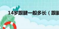 14歲跟腱一般多長(跟腱長度怎么量)