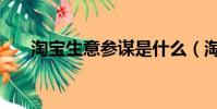 淘寶生意參謀是什么(淘寶生意參謀)