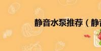 靜音水泵推薦(靜音水泵)