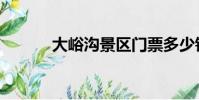大峪溝景區門票多少錢(大峪)