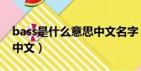 bass是什么意思中文名字(bass是什么意思中文)