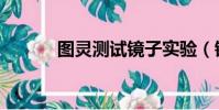 圖靈測試鏡子實驗(鏡子實驗)
