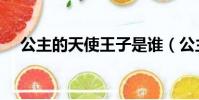公主的天使王子是誰(公主的天使王子)